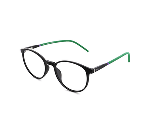 HIS Eyewear Brille HK602-2 schwarz matt grün